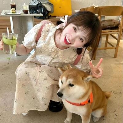 阿达一族大集合